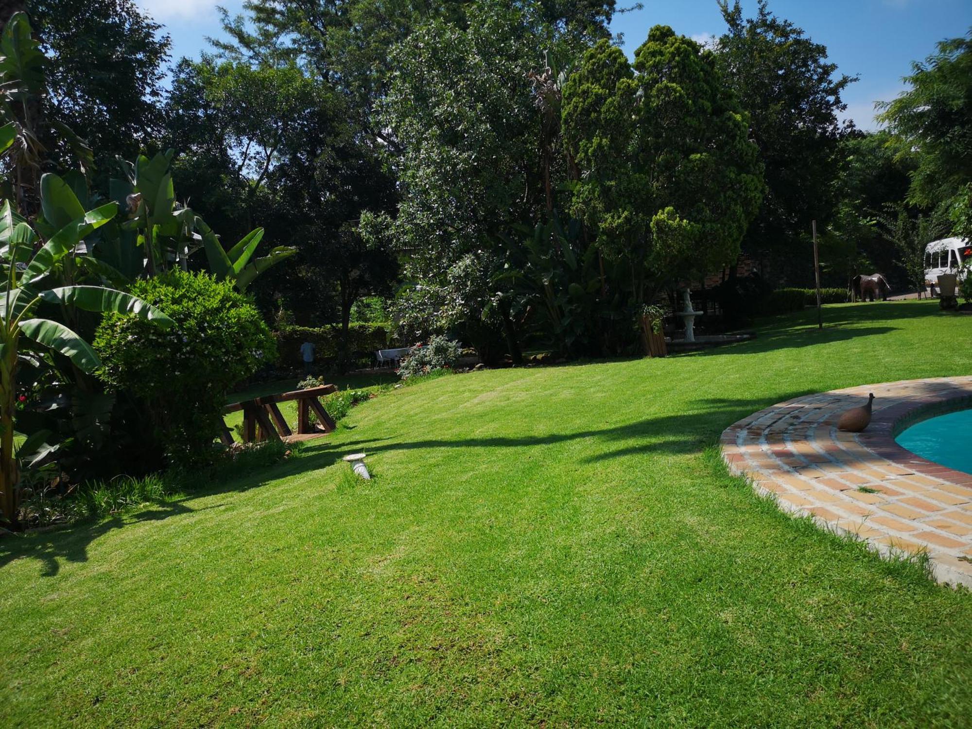 Lotus Guest House Johannesburg Kültér fotó