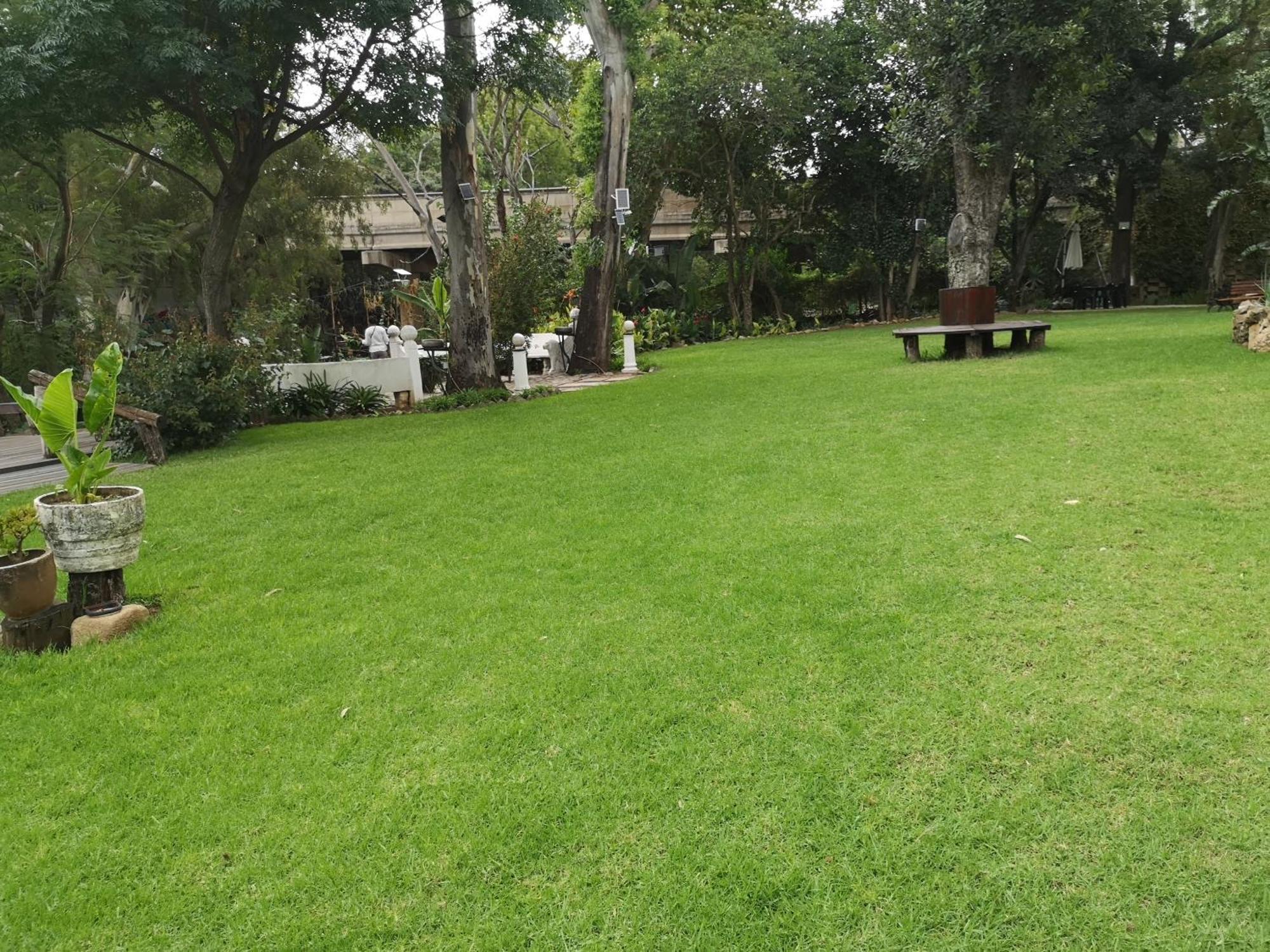 Lotus Guest House Johannesburg Kültér fotó