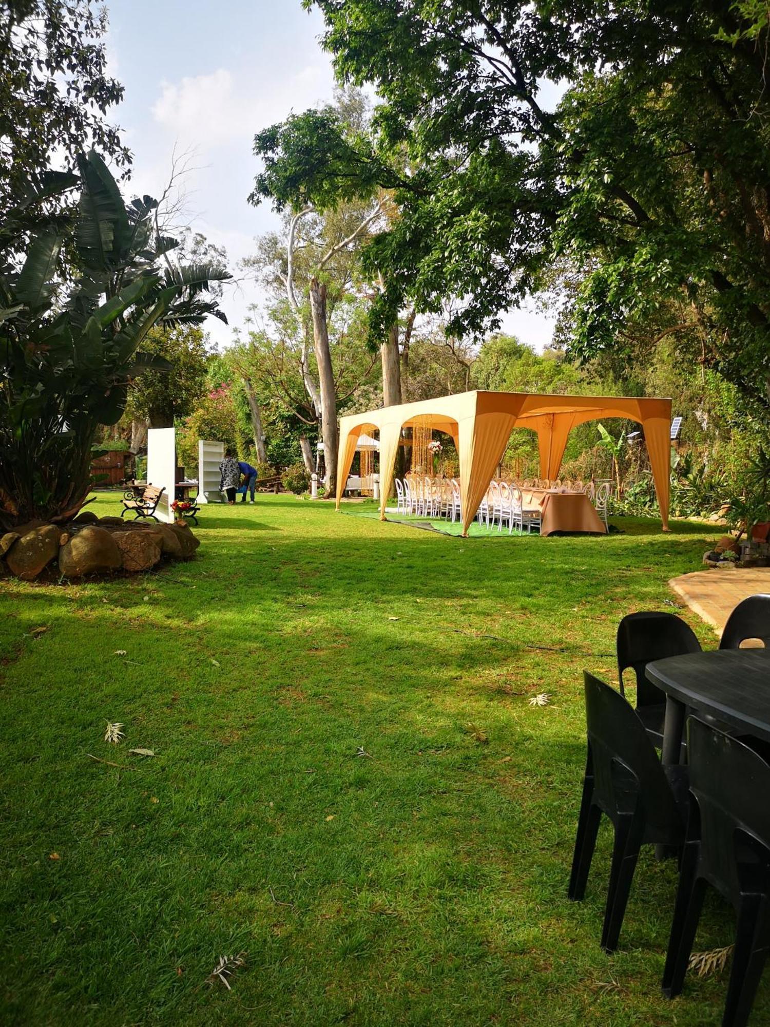 Lotus Guest House Johannesburg Kültér fotó