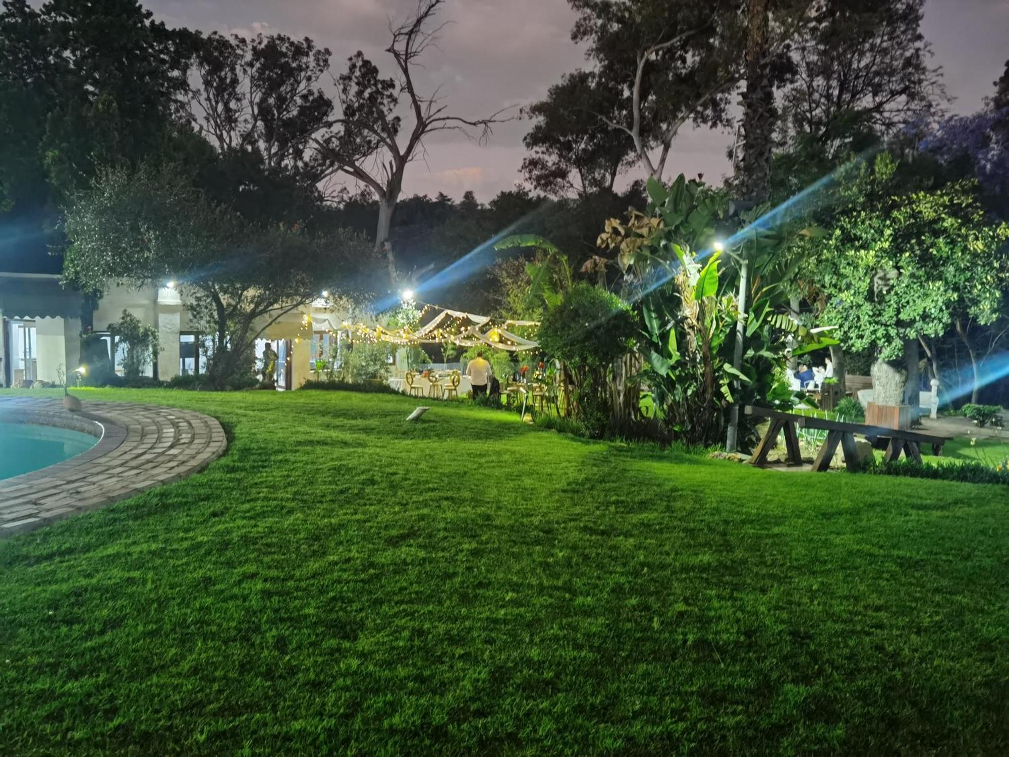 Lotus Guest House Johannesburg Kültér fotó